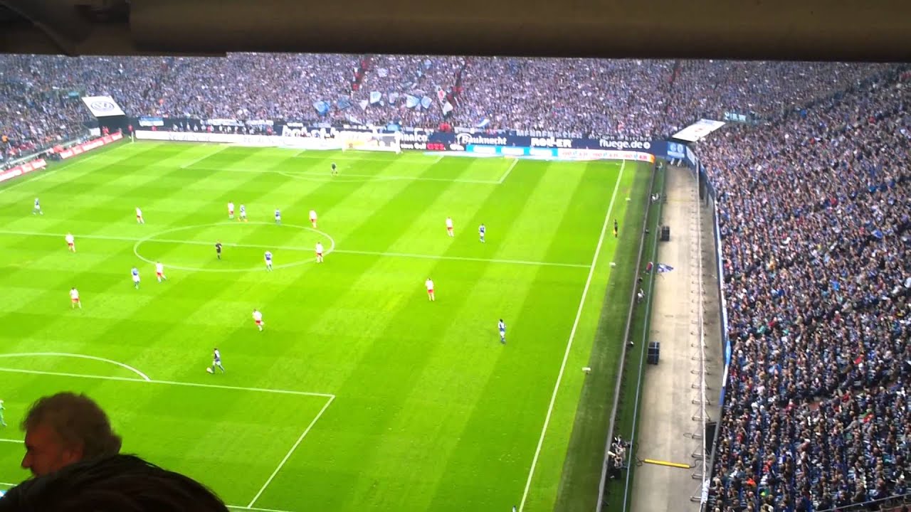 Schalke 04 - HSV (4-1) after goal Schalke 04