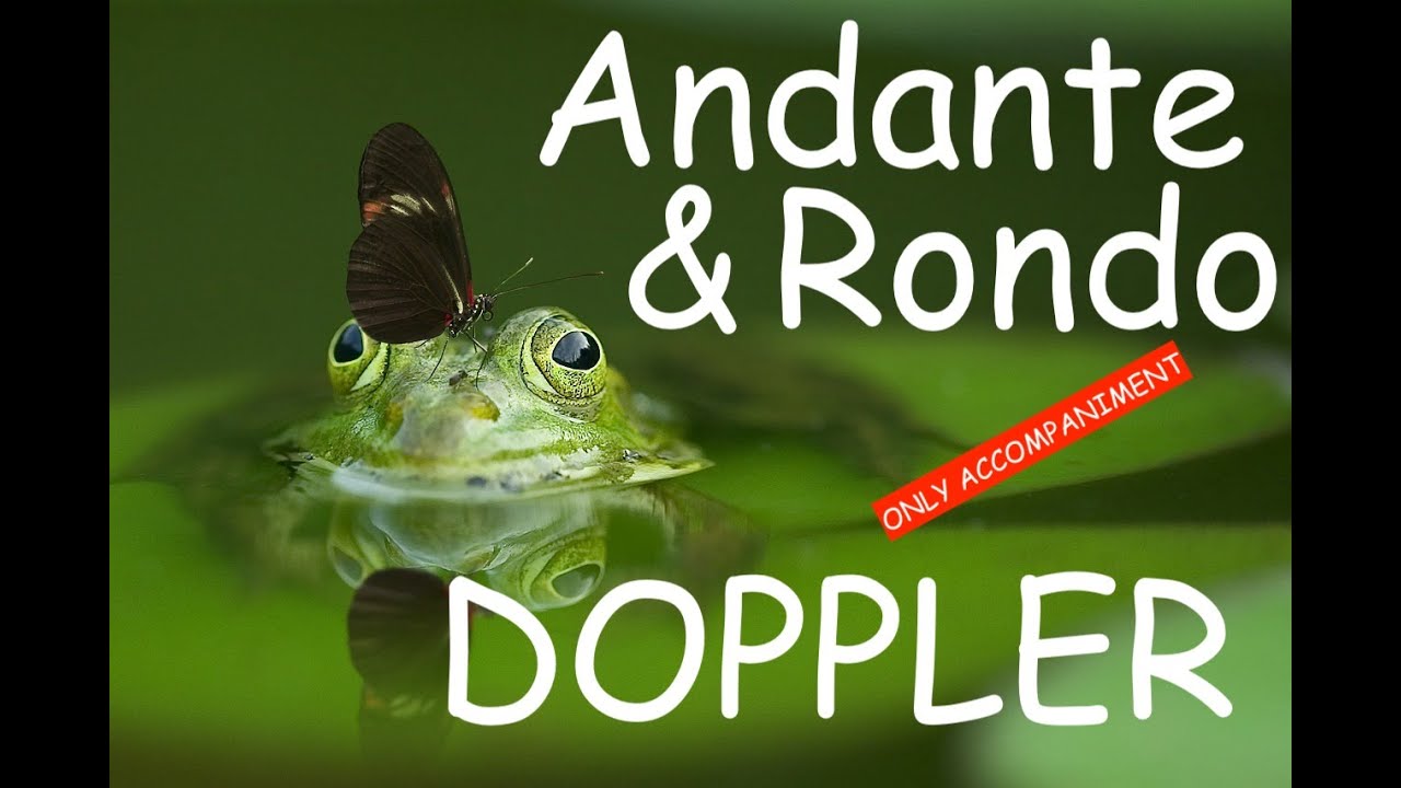 Only Accompaniment for Franz Doppler's Andante et Rondo, Op.25.