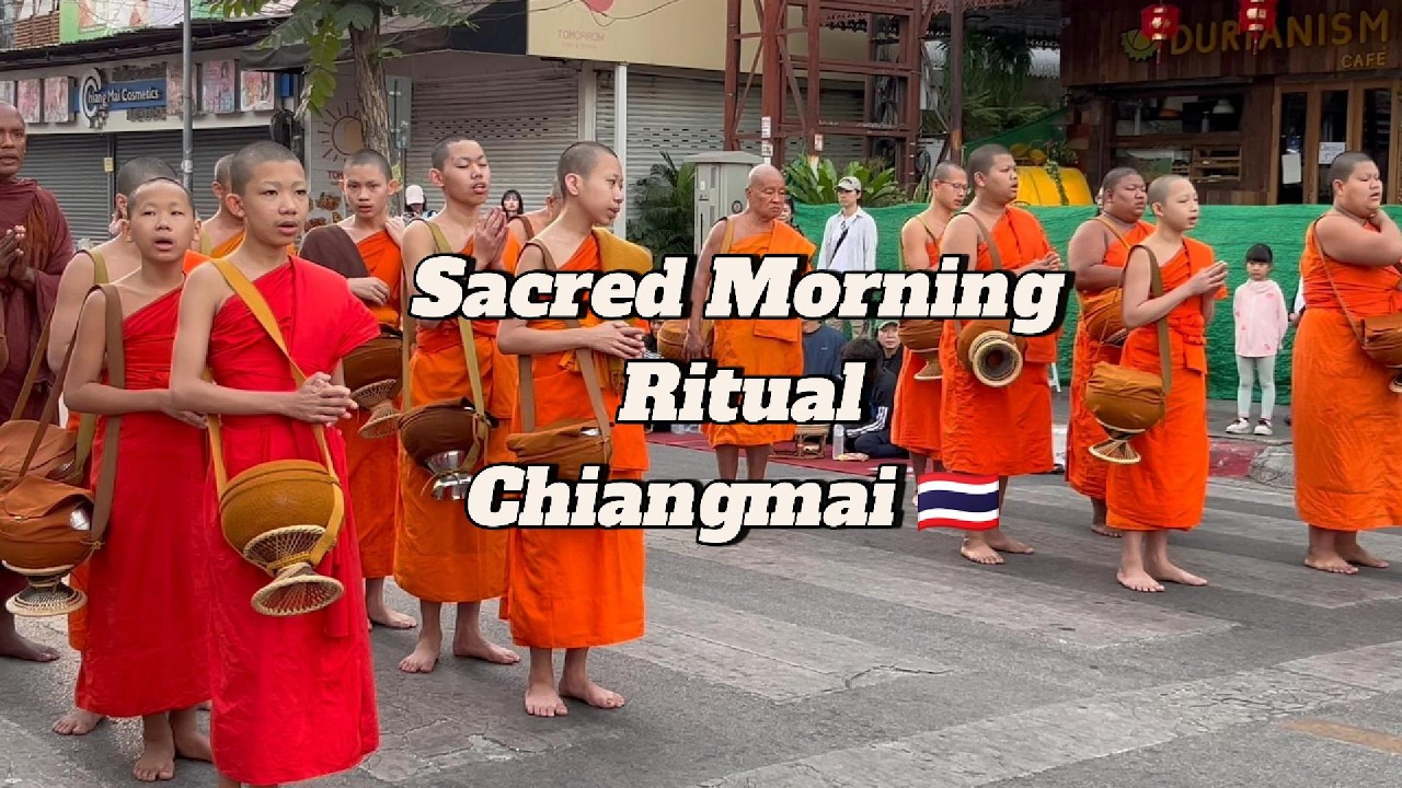 Early Morning Almsgiving (Tak Bat) in Chiang Mai 🇹🇭 | A Beautiful Thai Buddhist Tradition