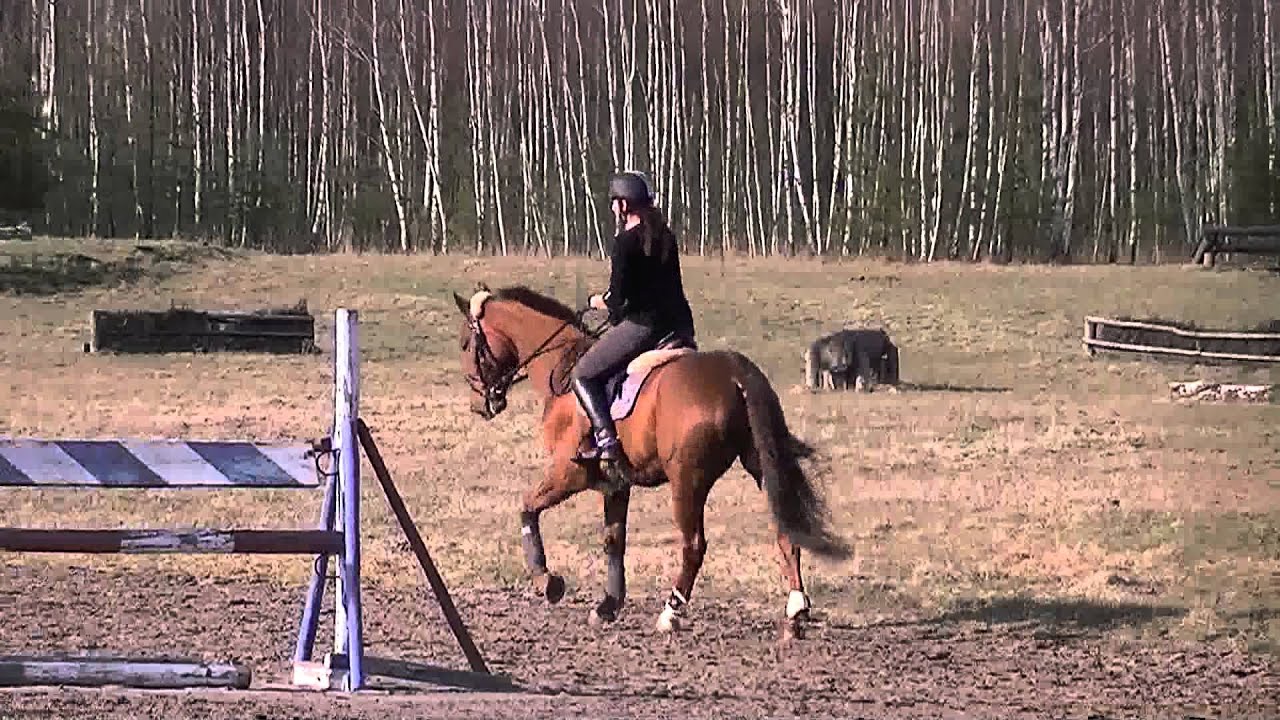 Trening z Jurkiem Krukowskim Rakowiec