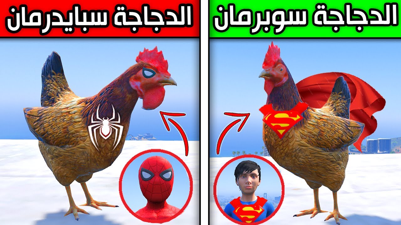 الدجاج الخارق سبايدرمان وسوبرمان !! 😱🔥 | فلم قراند