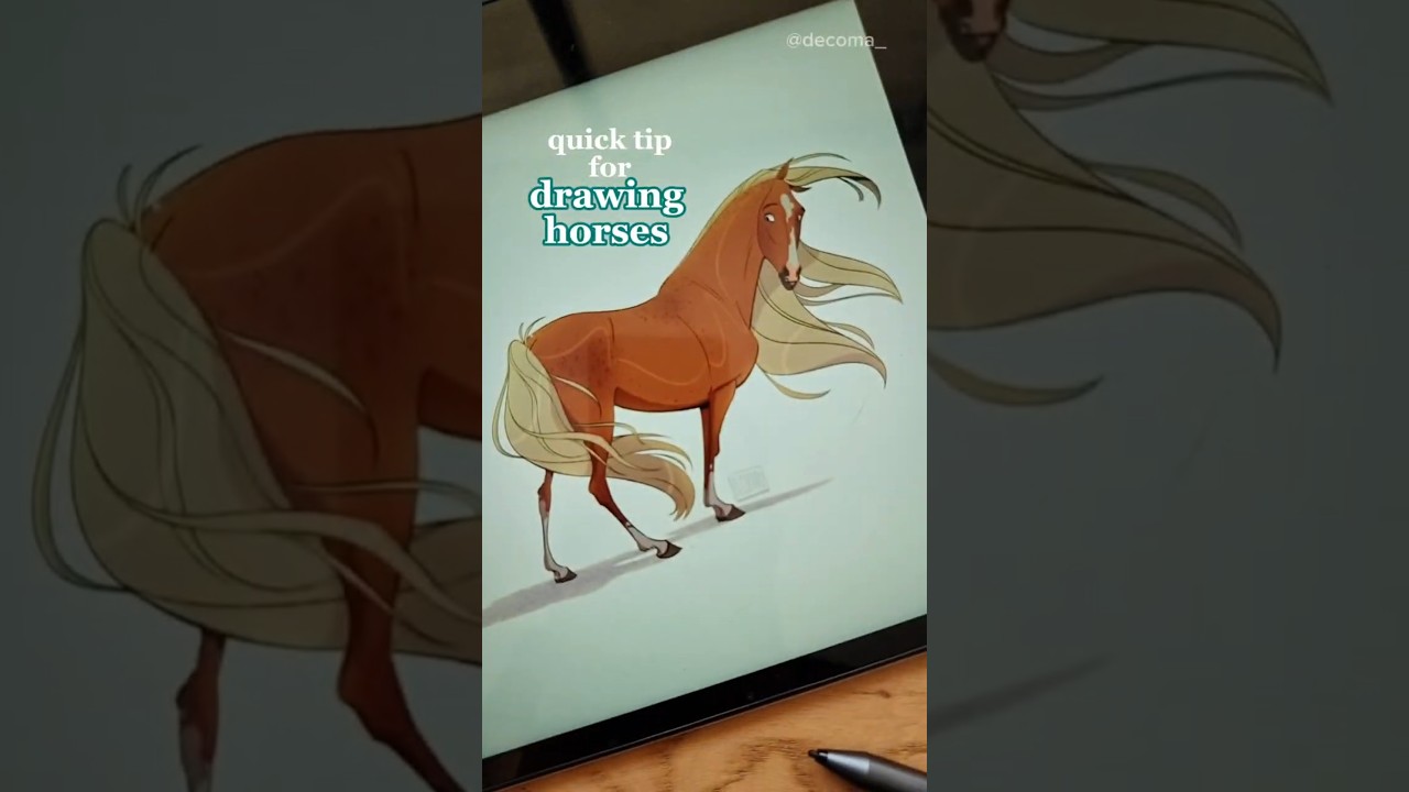 How to Draw Horses: Belly Shape