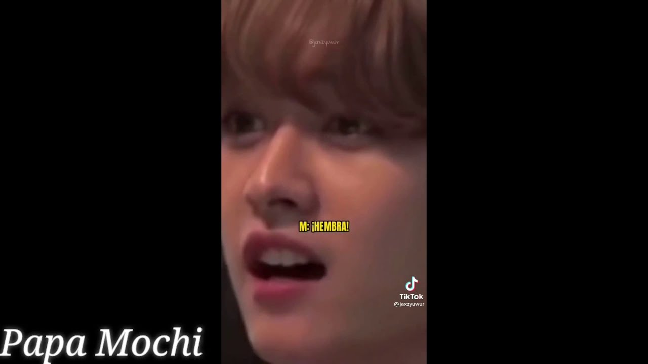 Memes de Stray Kids #4; Tik Tok ver.