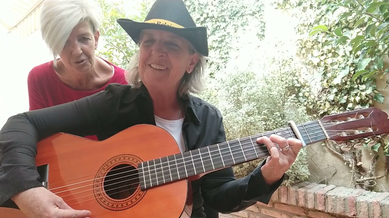 Gaviota (guitarra)