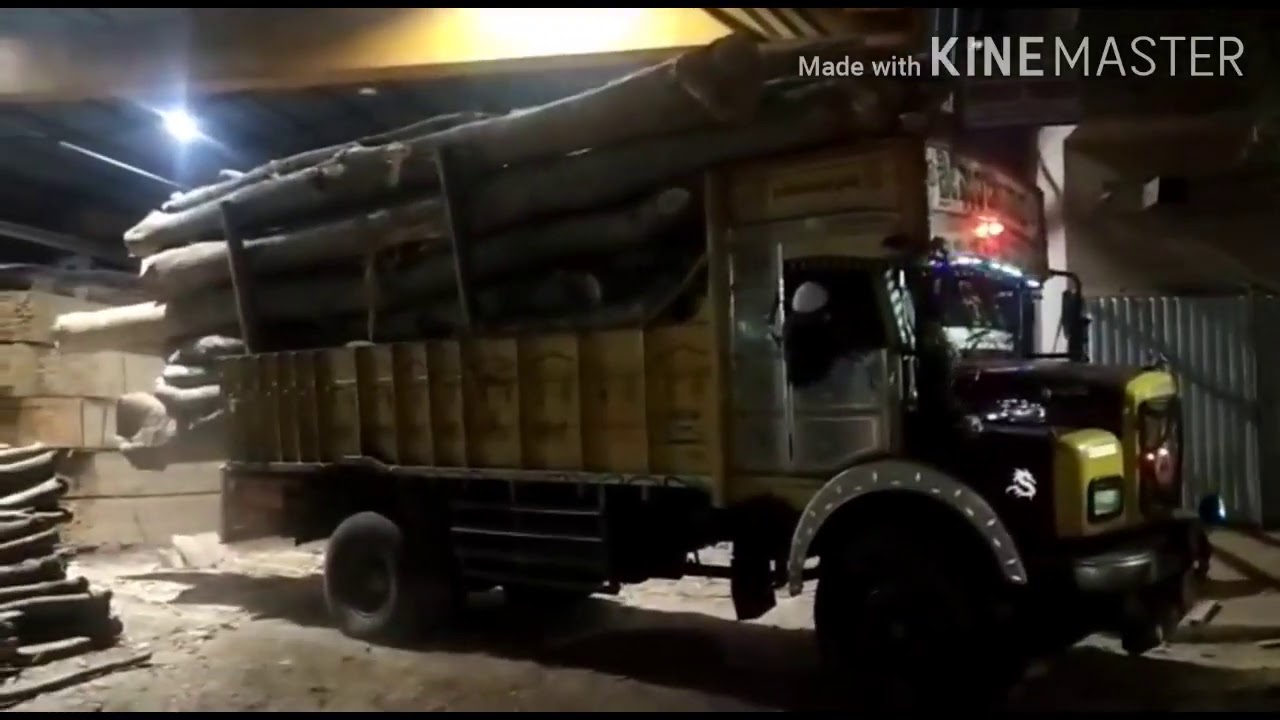 Tata se🔥1613 legend 👑 Timber truck @keralatimberlorry2932#tumkuru #karnataka #tatamotors #shorts