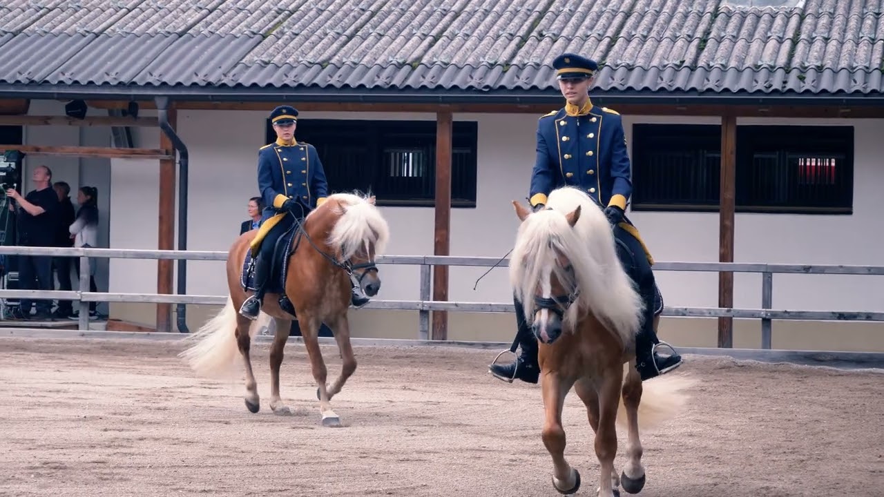 Fohlenhof Stallion Parade Opening