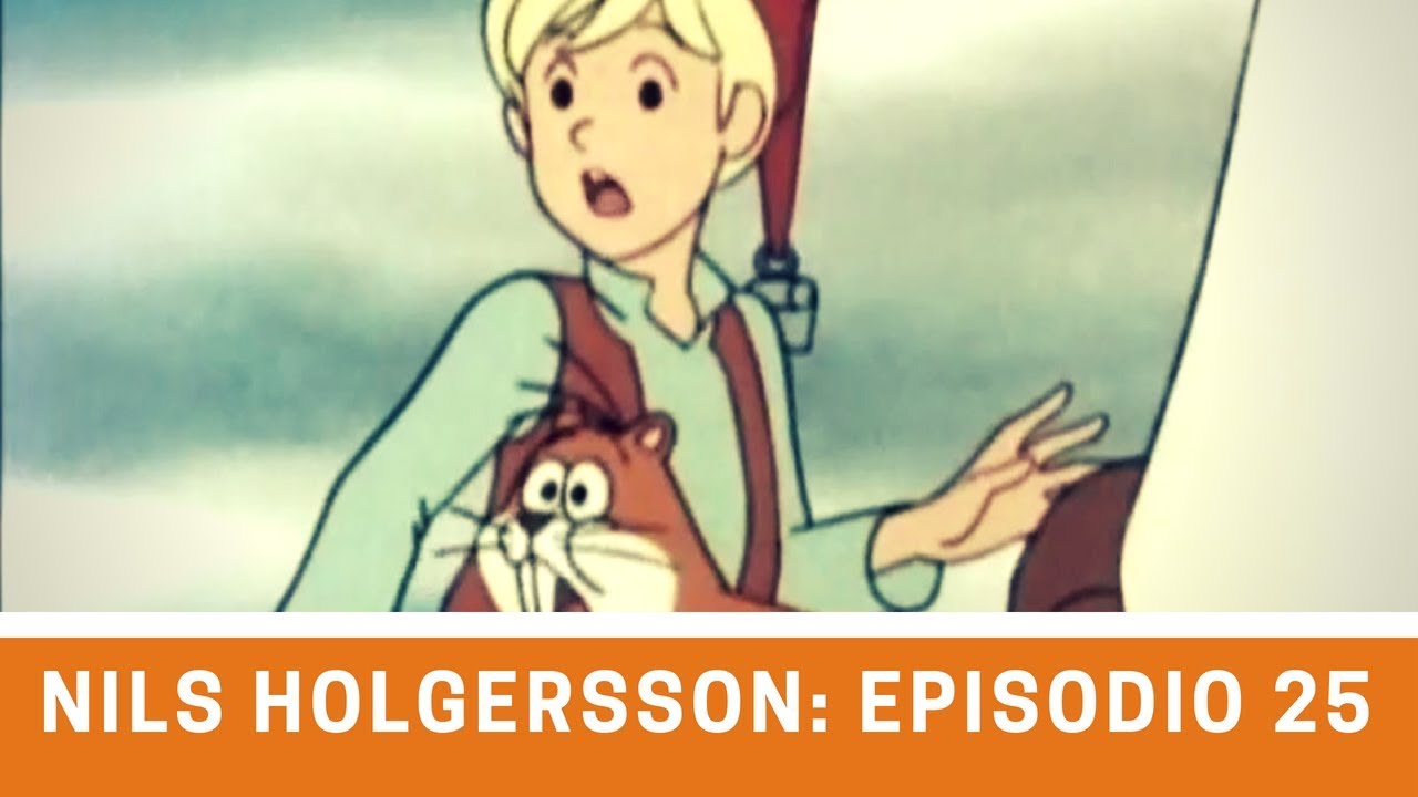 Nils Holgersson - Episodio 25: El Rey de los Cisnes