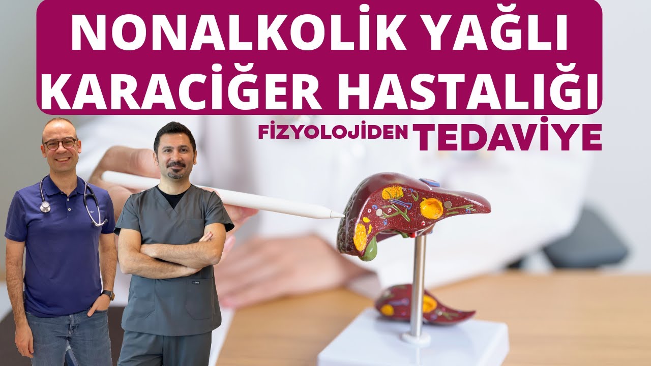 Non-Alkolik Yağlı Karaciğer | Fizyolojiden Tedaviye