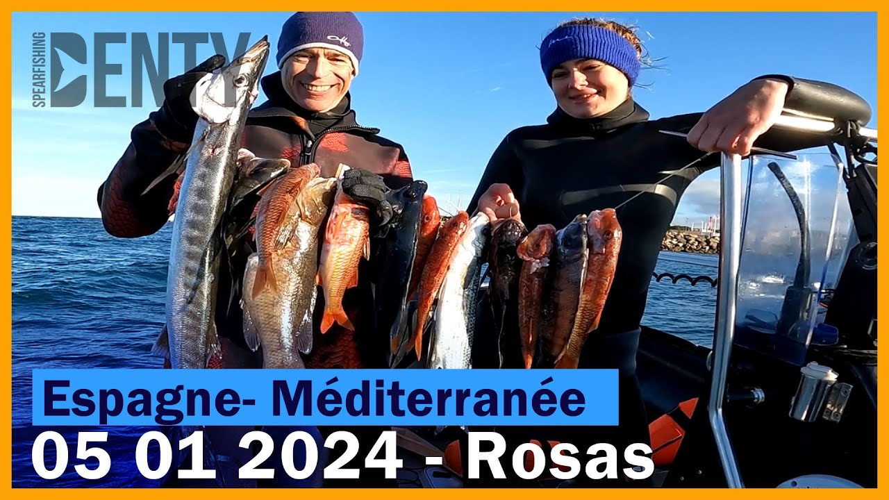 Sublime chasse sous-marine en ce début de janvier 2025