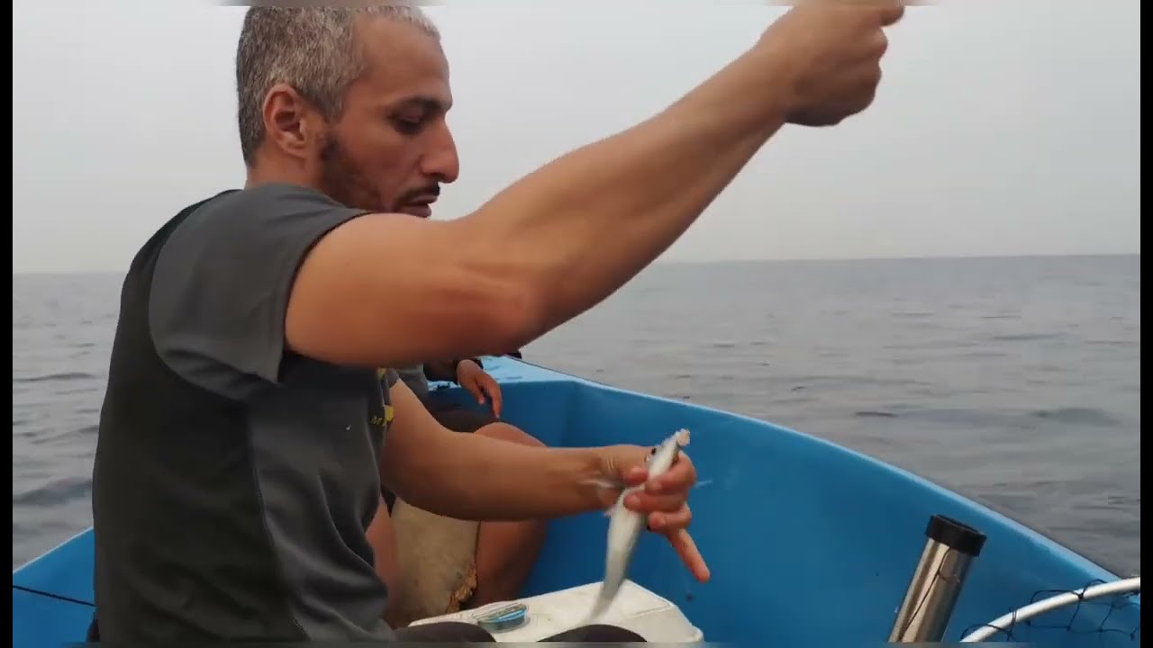 صيد السمك في الجزائر   la pêche en algérie la ligne morte لين مورت حصيلة جيدة 2024