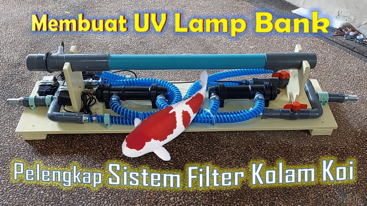 MEMBUAT & APLIKASI PAKET LAMPU UV (UV LAMP BANK) SEBAGAI PELENGKAP SISTEM FILTER KOLAM KOI