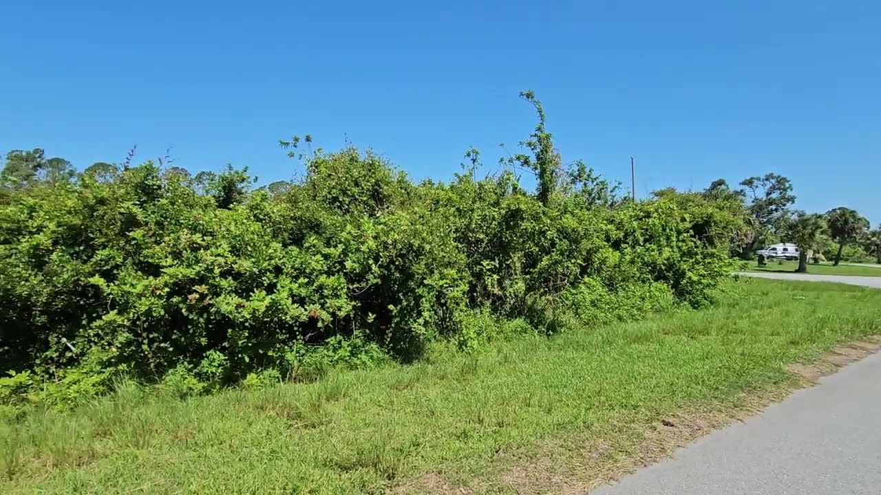 SOLD-0.46 Acres –Near Myakka River With Paved Road Access, Power 100 Feet Away! In Port Charlotte,FL