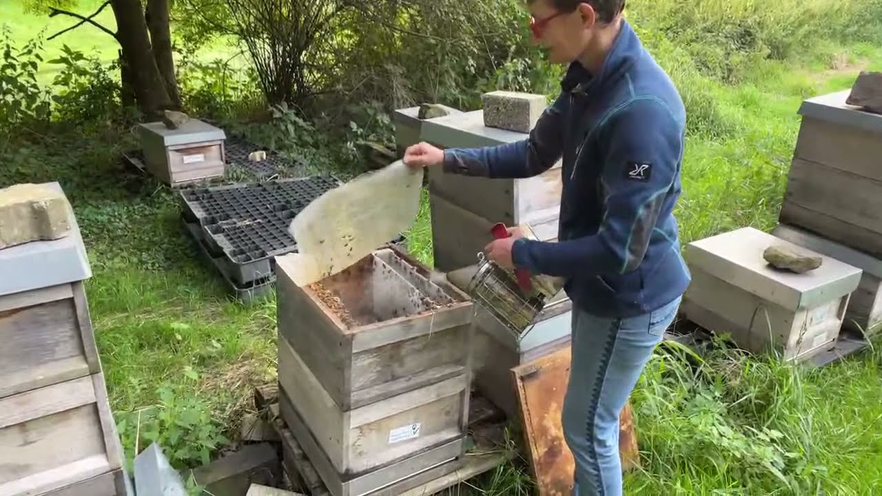 Live von Pias Bienenstand 19.8.21