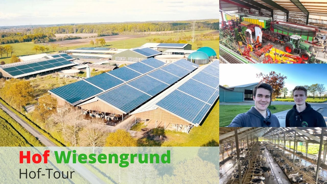 Hof-Tour I So machen wir es! HOF WIESENGRUND 4K