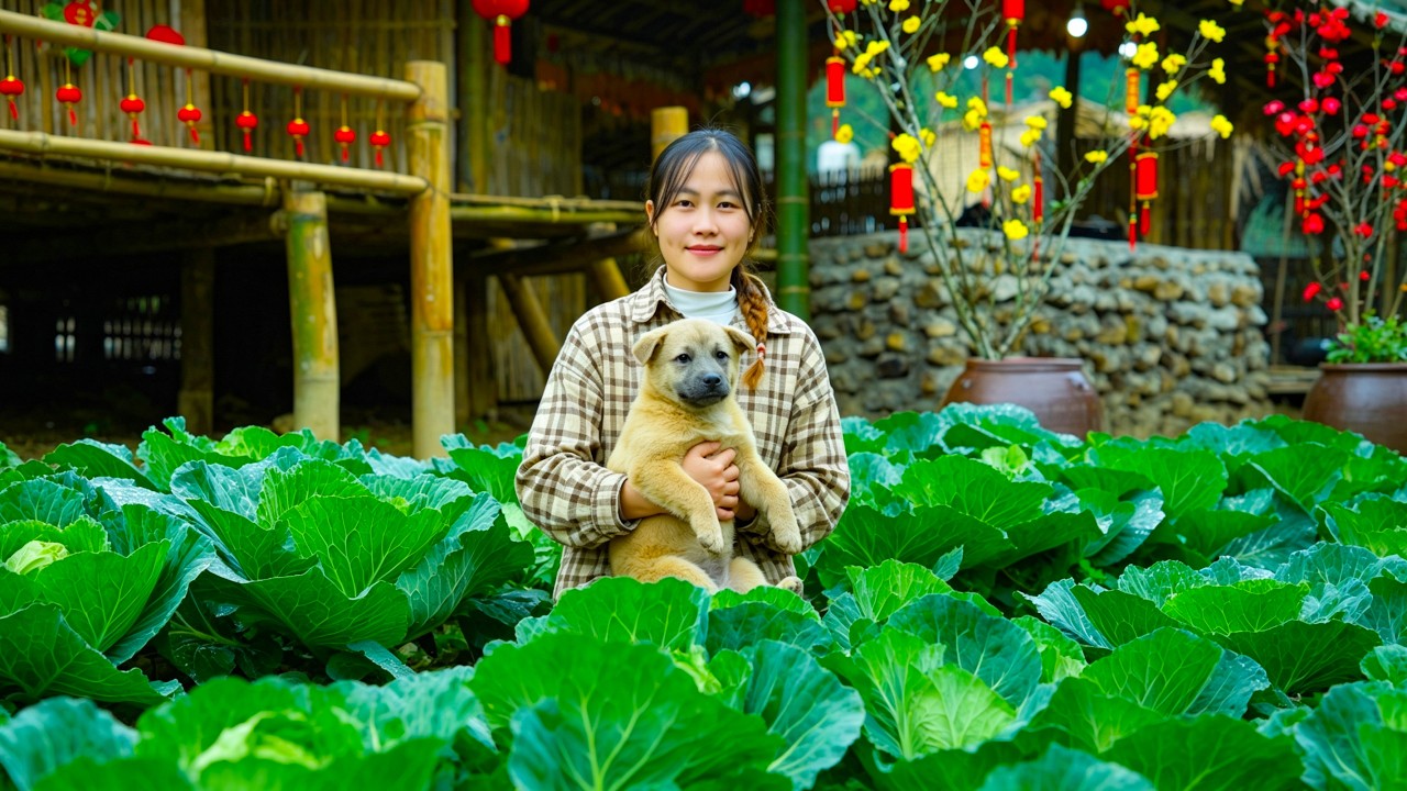 From Farm to Home - Cauliflower Harvest, Market Sales, and Cooking with My Children