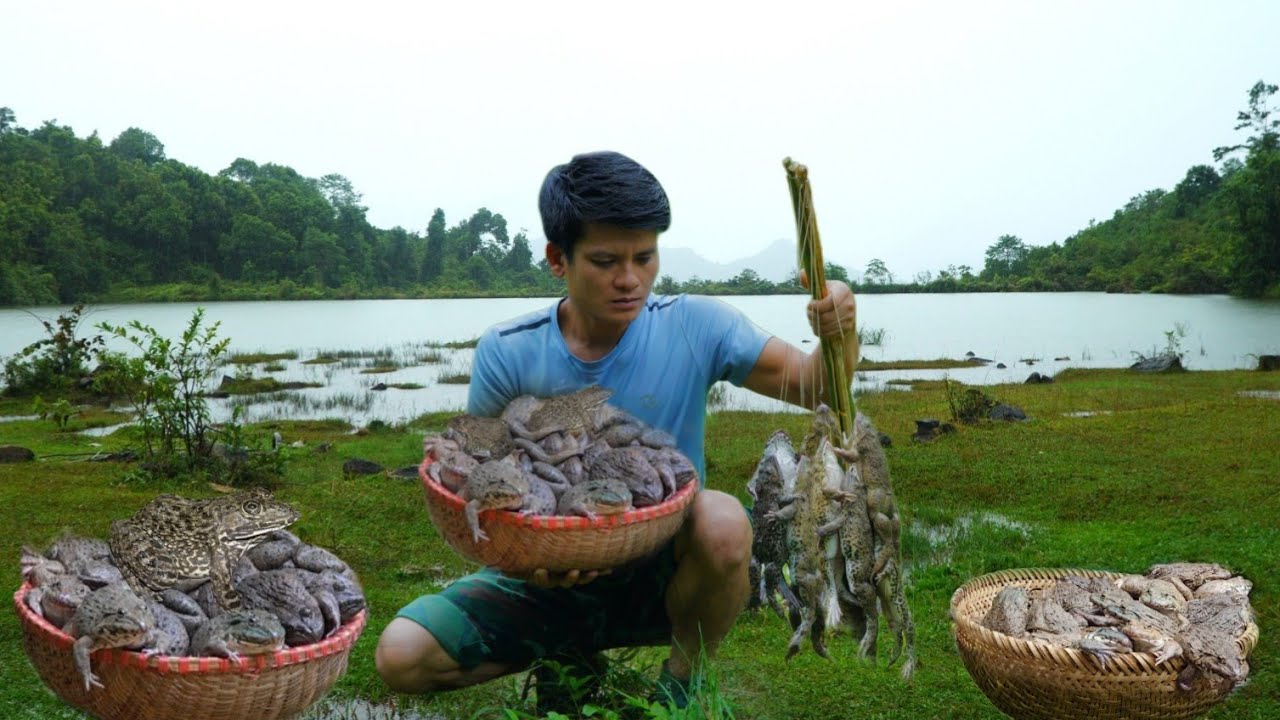 Frog fishing skills, The guy caught 10kg of wild frogs, Frog fishing techniques at night