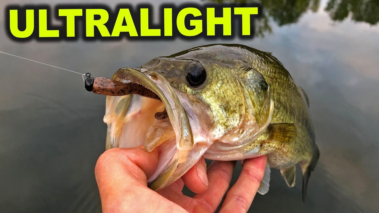 The Z-Man Slim SwimZ Saves The Day!
