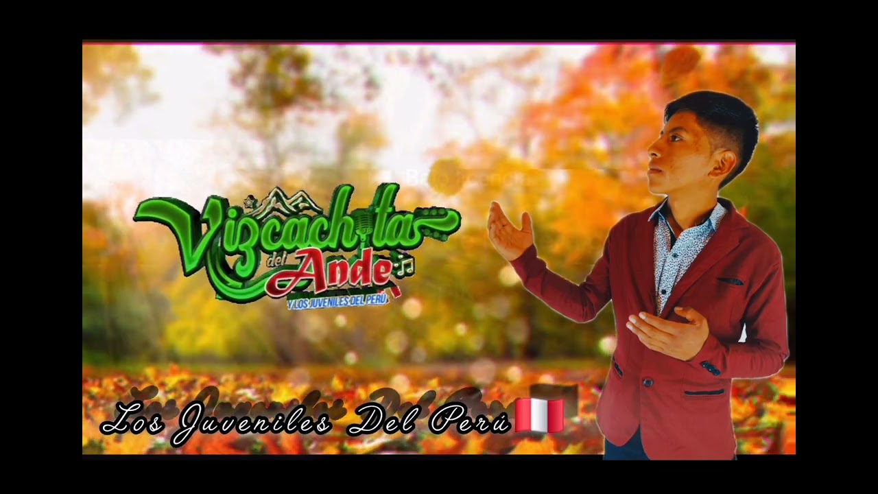 VIZCACHITA DEL ANDE //TEMA++AMIGO TRAICIONERO ☆