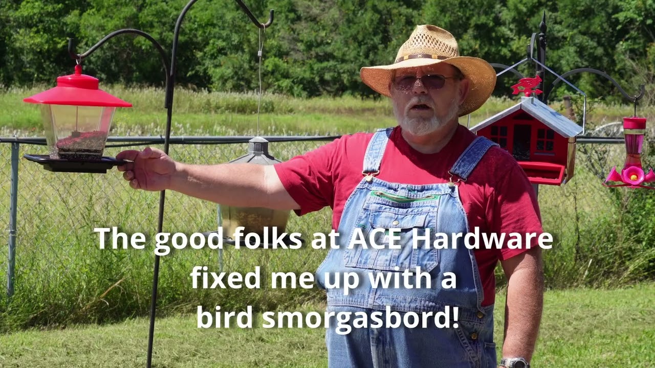 Bird feeder renovation - Damn raccoons!