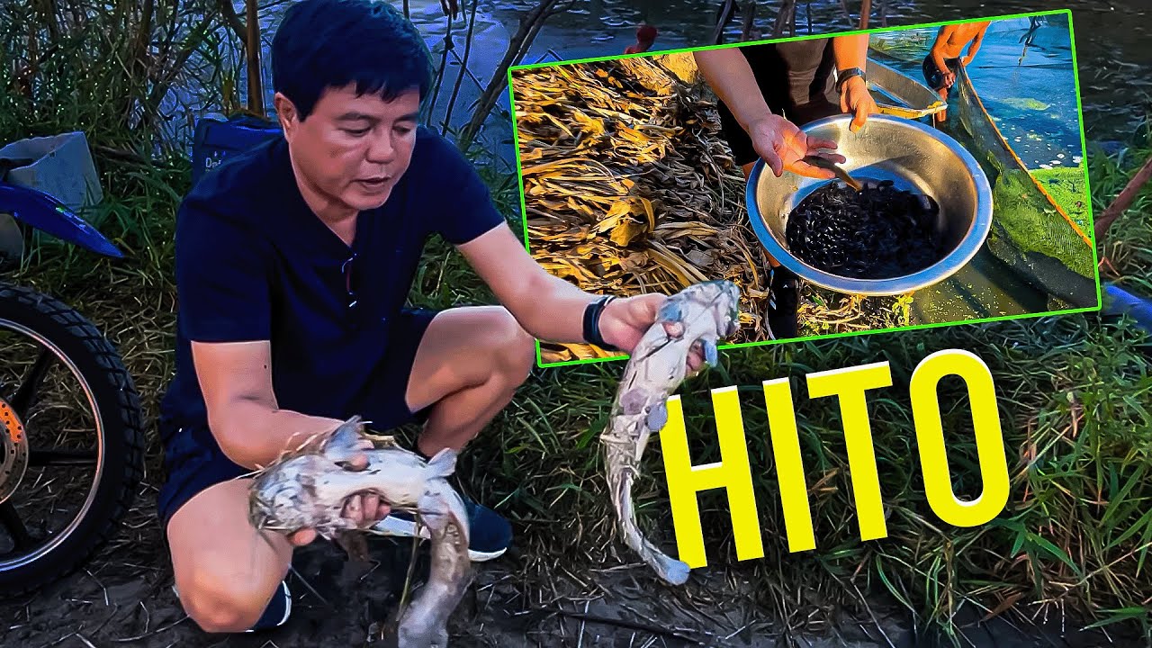 NAGHARVEST AKO NG HITO AT SEMILYA | Romeo Catacutan - Idol Tiktok