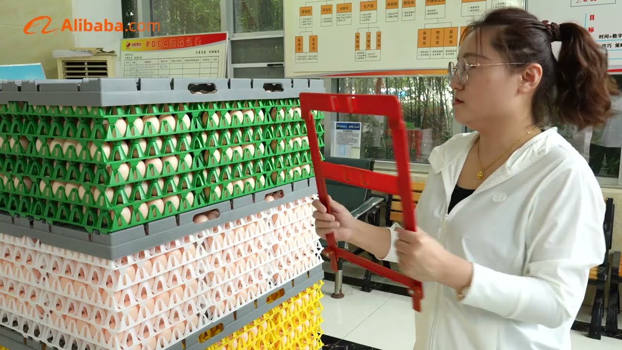 Eggs Cargo System