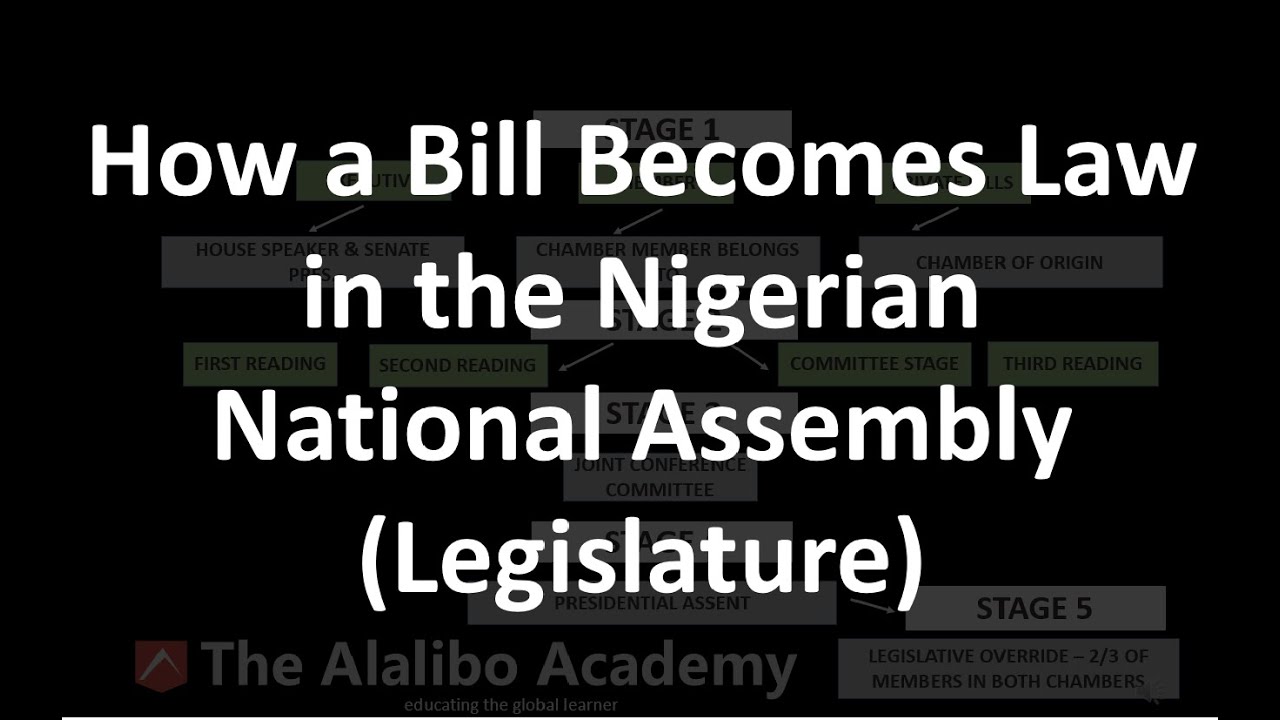 How a Bill Becomes Law in Nigerian National Assembly (Legislature) | Africa | The Alalibo Academy