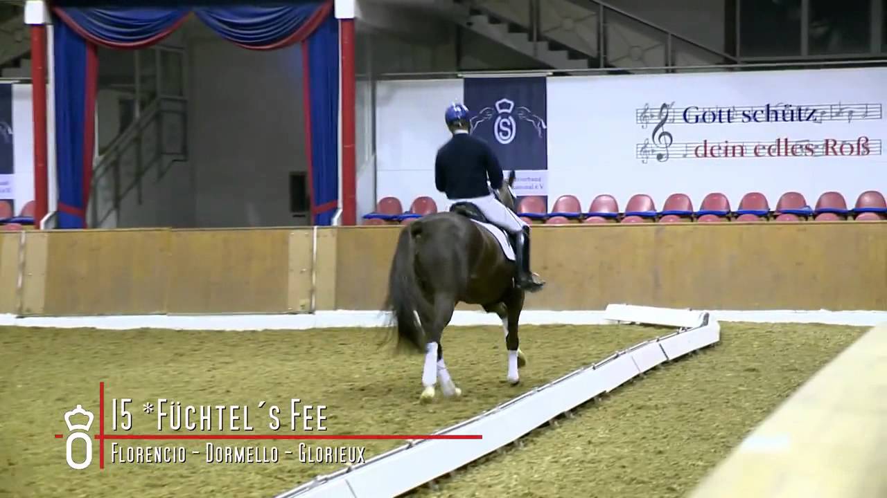 015 Fuchtels Fee Live Mitschnitt 77 Elite Auktion.mp4