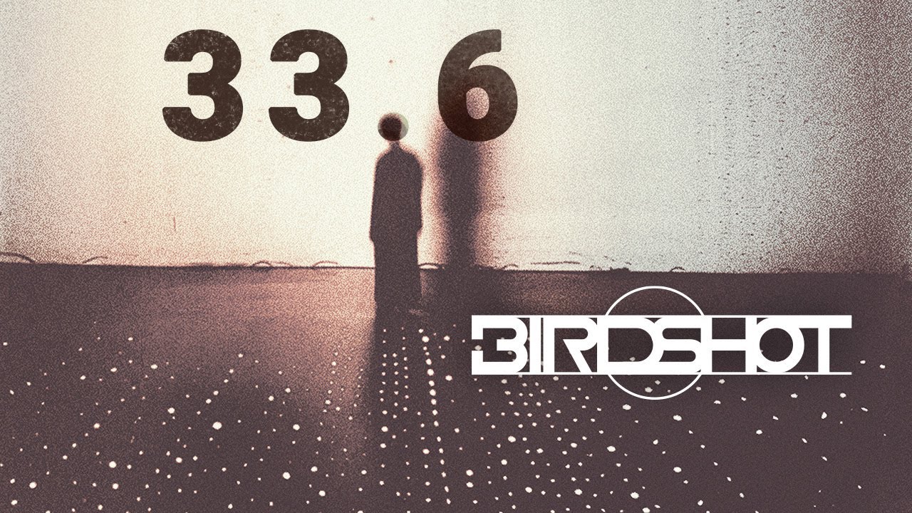 Birdshot | 33.6 (music video)