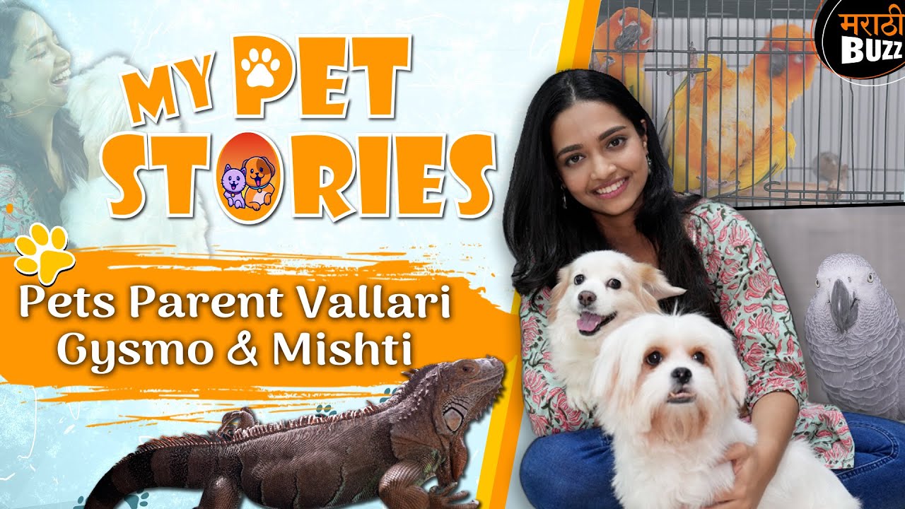 Ep3 My Pet stories With Pet Parents Vallari Viraj|Shubh Shravani|Zee Marathi