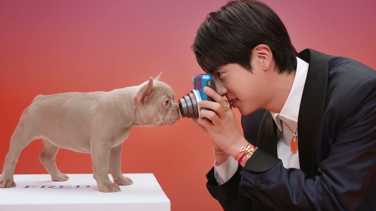 FRED Jewelry - FRED&rsquo;s global brand ambassador, Jin of BTS, invites you to Sunny FREDland.