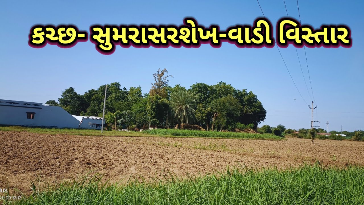 કચ્છ: સુમરાસર શેખ વાડી વિસ્તાર #sumarasarshekh #innovativedevd #kutch