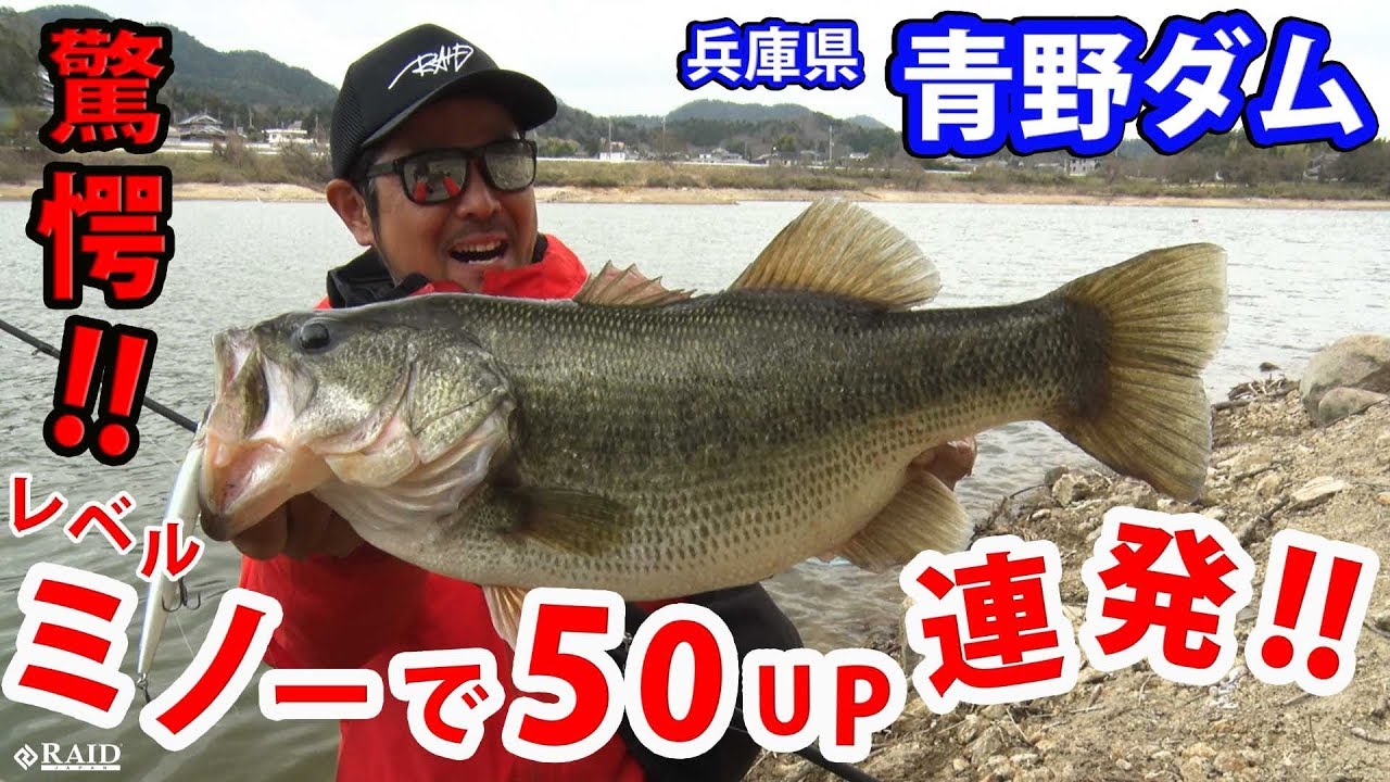 [驚愕!!]レベルミノーでデカバス祭り!! [金森隆志]