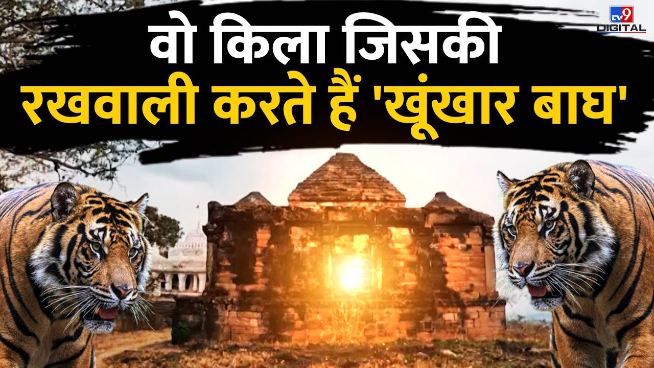 वो किला जिसकी रखवाली करते हैं खूंखार बाघ ! | Drishyam | Sri Ram | LIVE | Mystery | News | #TV9D