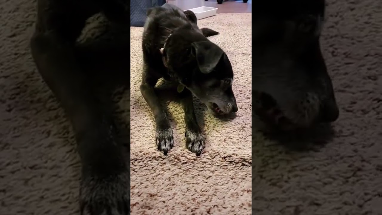 Peanut cracking sound effect