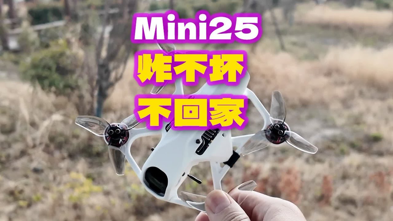 疯狂任务 疯狂炸机 Mini25 炸不坏 不回家 #穿越机 #fpv穿越机 #穿越机fpv #fpv #穿越机拍摄