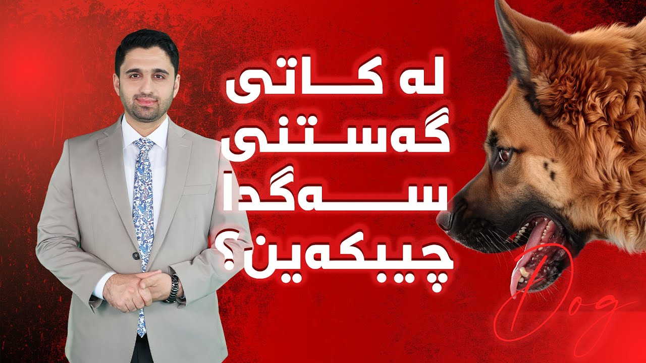 گەستنی سەگ دەبێتە هۆی مردن، ئەگەر ئەم ڕێکارانە نەگریتە بەر!