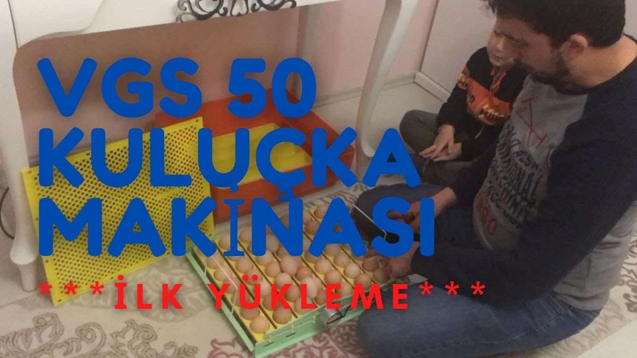 VGS 50 KULUÇKA MAKİNASI İLK YÜKLEME❗️