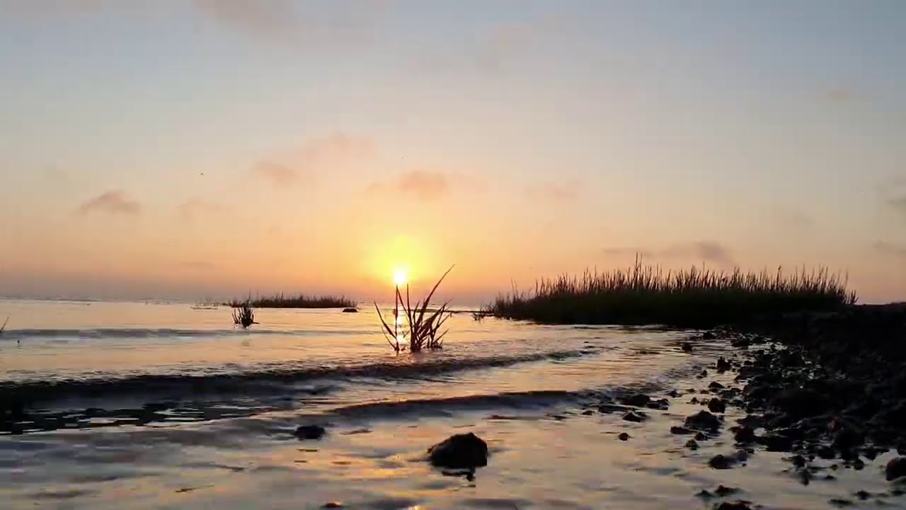 BORKUM🐦🌾 - SONNENAUFGANG🌅 im WATTENMEER mit VOGELGEZWITSCHER🦆 & MEERESRAUSCHEN 🌿🌊🌅 29.08.2020
