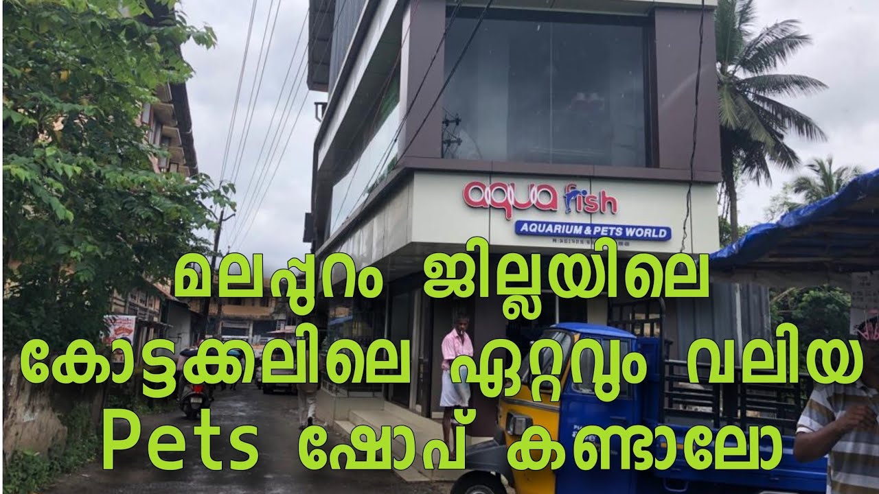 Pets Shop aqua fish aquarium kottakkal