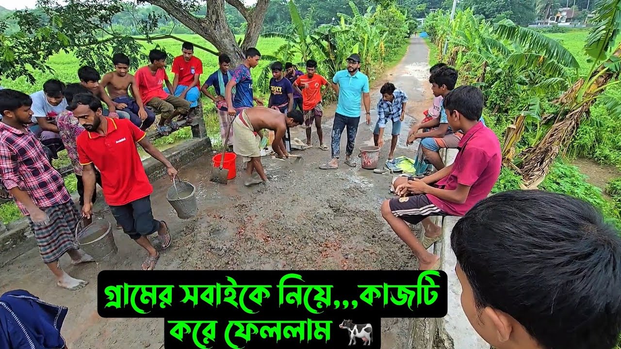 গ্রামের সবাইকে নিয়ে,,,কাজটি করে ফেললাম 🐄