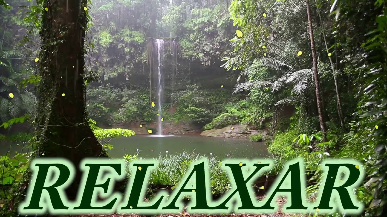Som de Chuva e Floresta -  2 Horas  - Dormir, Relaxar