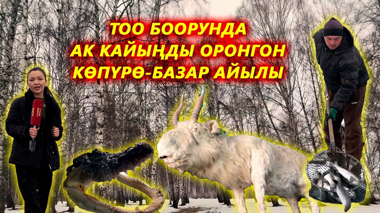 Көпүрө-Базар | 