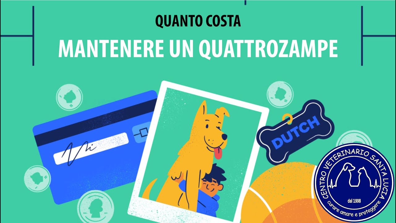 106 -  Ma quanto costa mantenere un cane? Costi per tenere un cane tra spese comuni e spese mediche