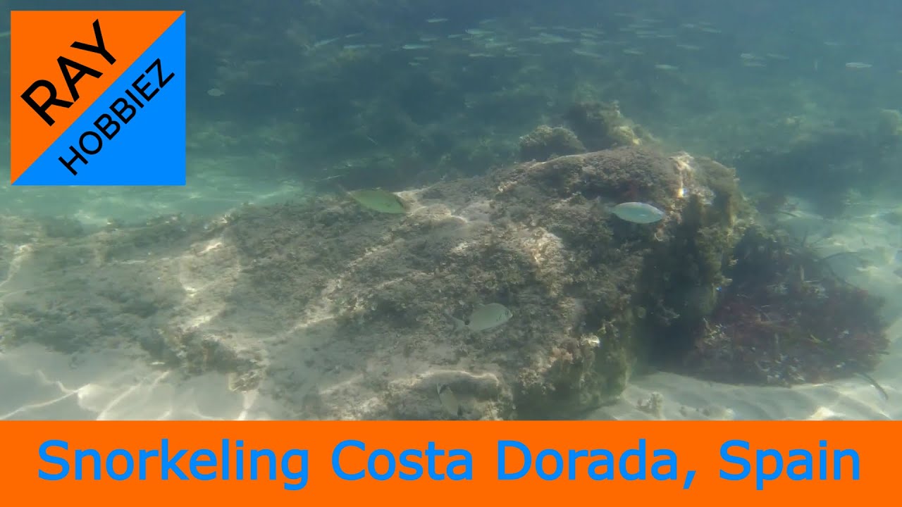 Snorkeling at Costa Dorada, Spain...    Ray on Vacation! 😎