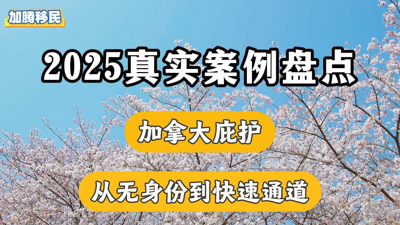 2025加拿大庇护真实案例盘点：快速通道与身份修复全面开花
