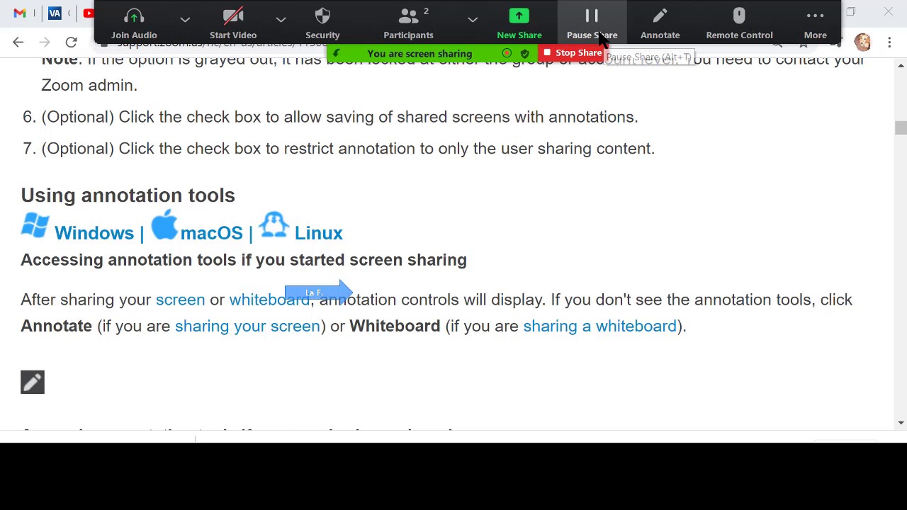 Zoom   cursor highlight