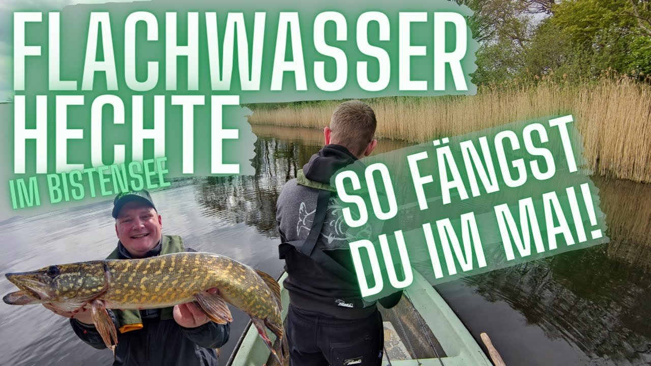 Flachwasser Hechte im Mai! Angeln im Bistensee in Schleswig-Holstein