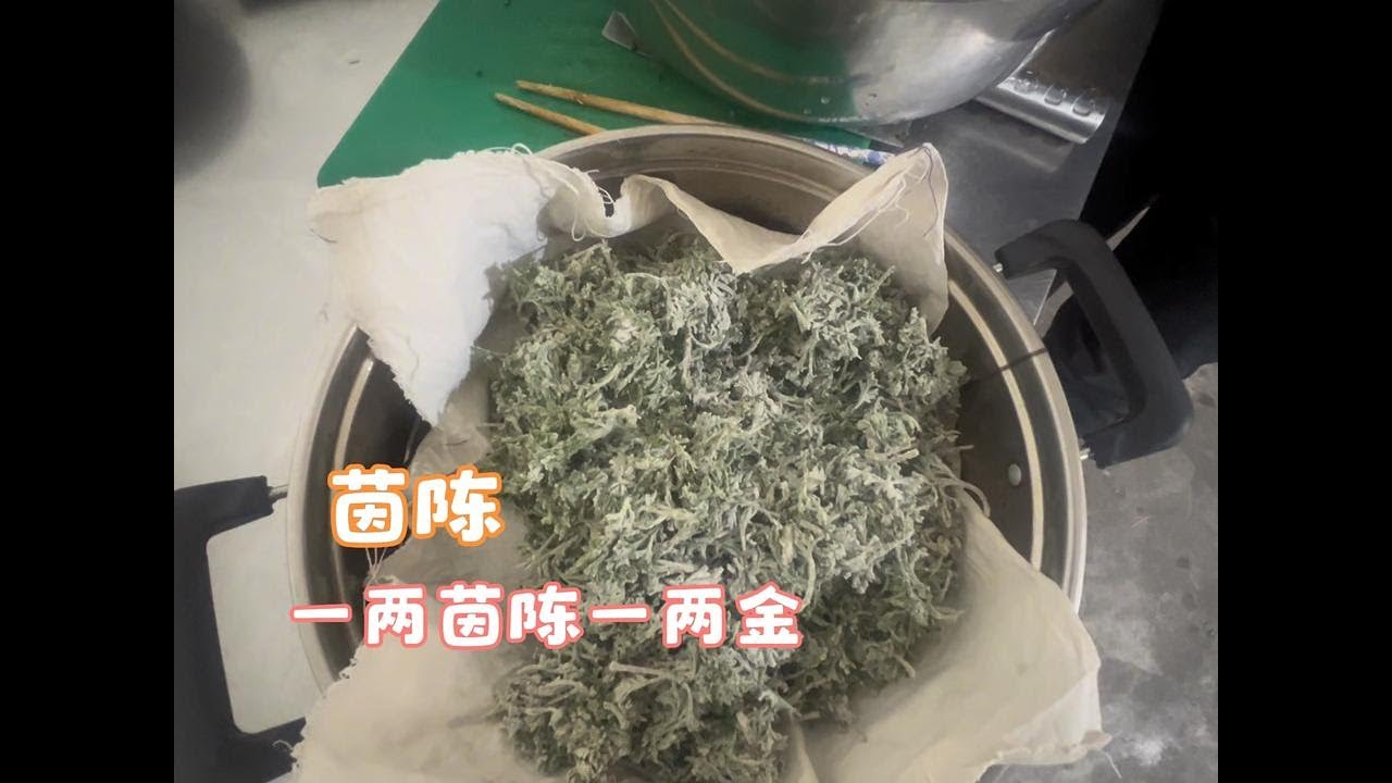 春天茵陈 做法简单 值得品尝 春天茵陈最好吃#野菜美食 #茵陈