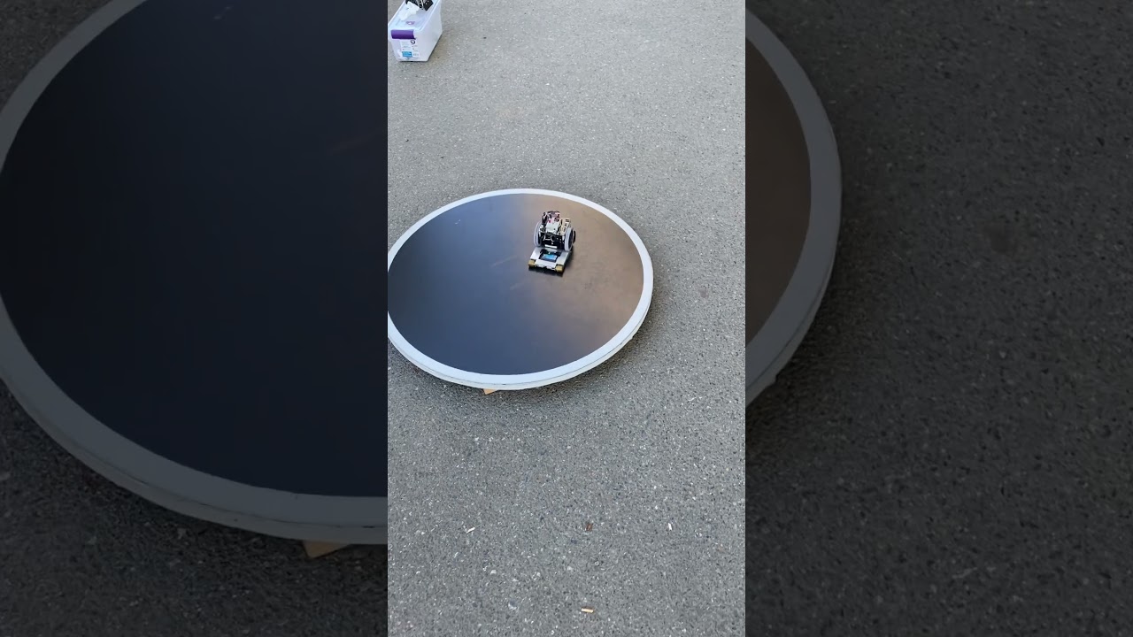Thin Man the mini sumo