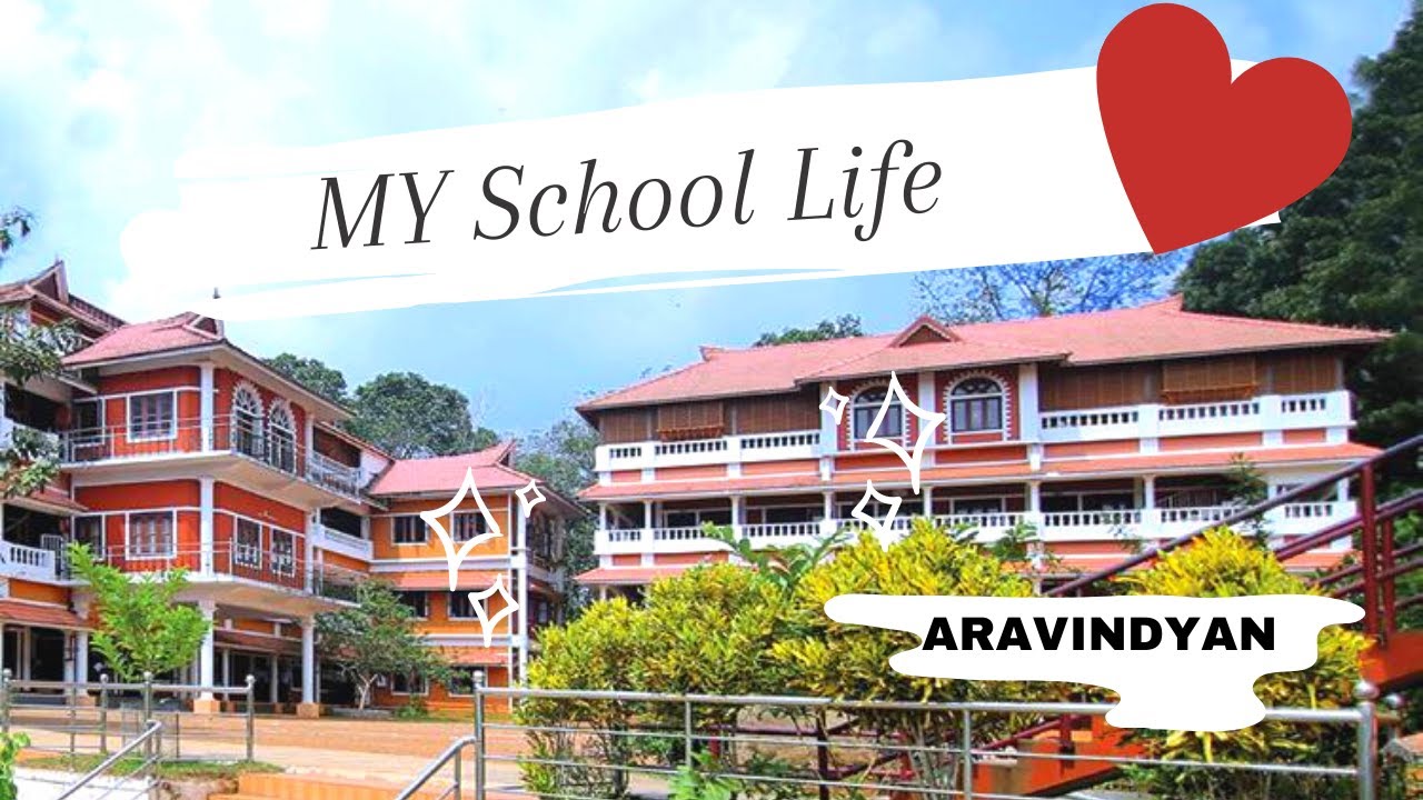 My School Life | Experience